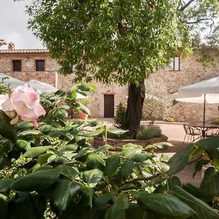 Casale Giorgio Trilo 6 Daire